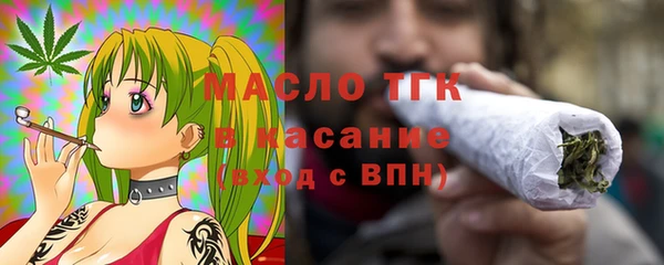 индика Армянск