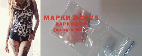 индика Армянск