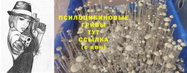 индика Армянск