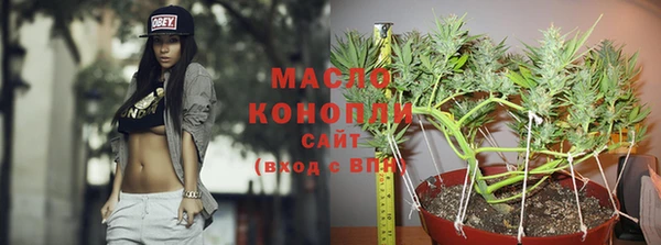крисы Арсеньев