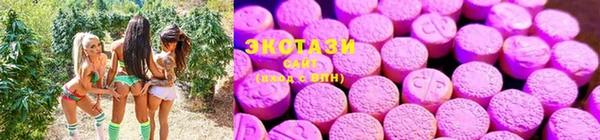 ПСИЛОЦИБИНОВЫЕ ГРИБЫ Аркадак