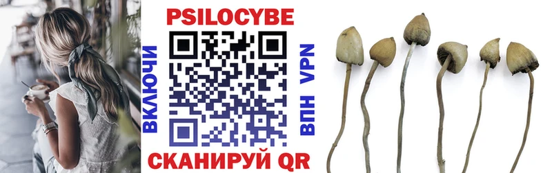 Псилоцибиновые грибы Psilocybe  Аркадак 